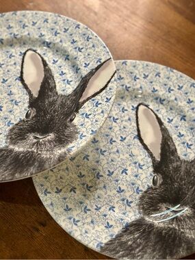 Royal Stafford Blue Chintz Bunny 11 inch Plate Set England